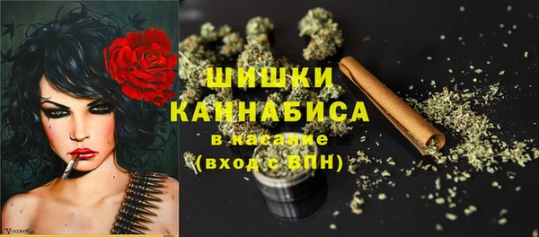 прущие грибы Лагань