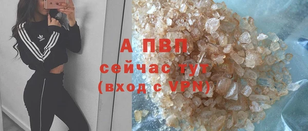 прущие грибы Лагань