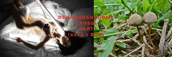 прущие грибы Лагань