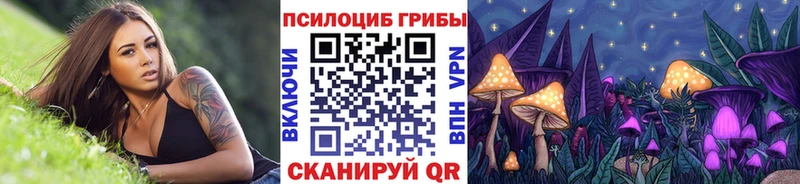 Псилоцибиновые грибы Psilocybine cubensis  Шимановск 